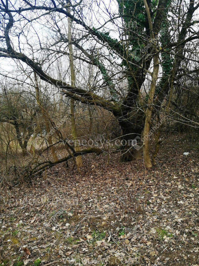 Kép 3