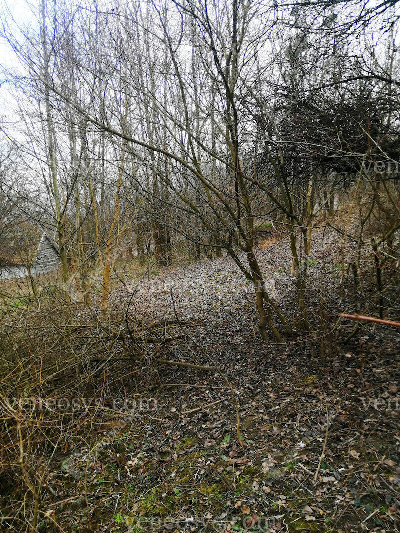 Kép 13