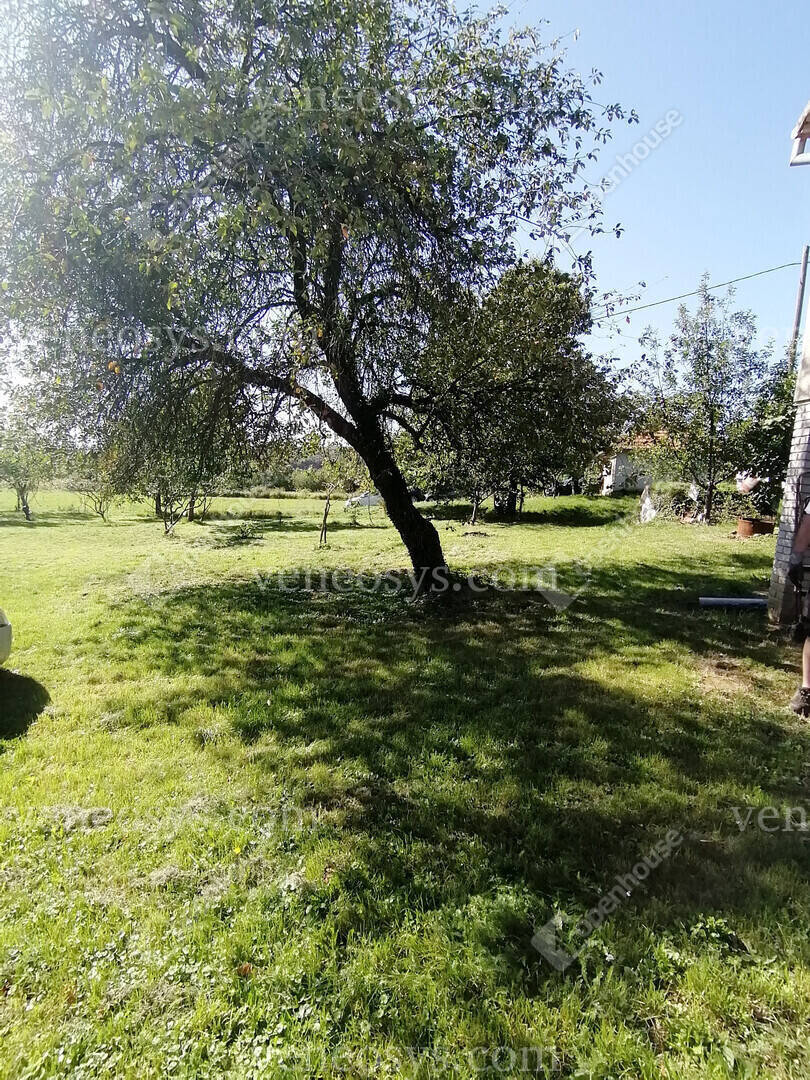 Kép 22