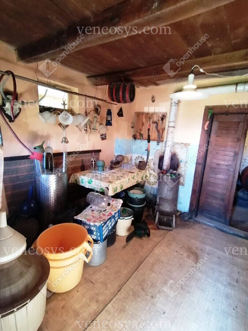Kép 8