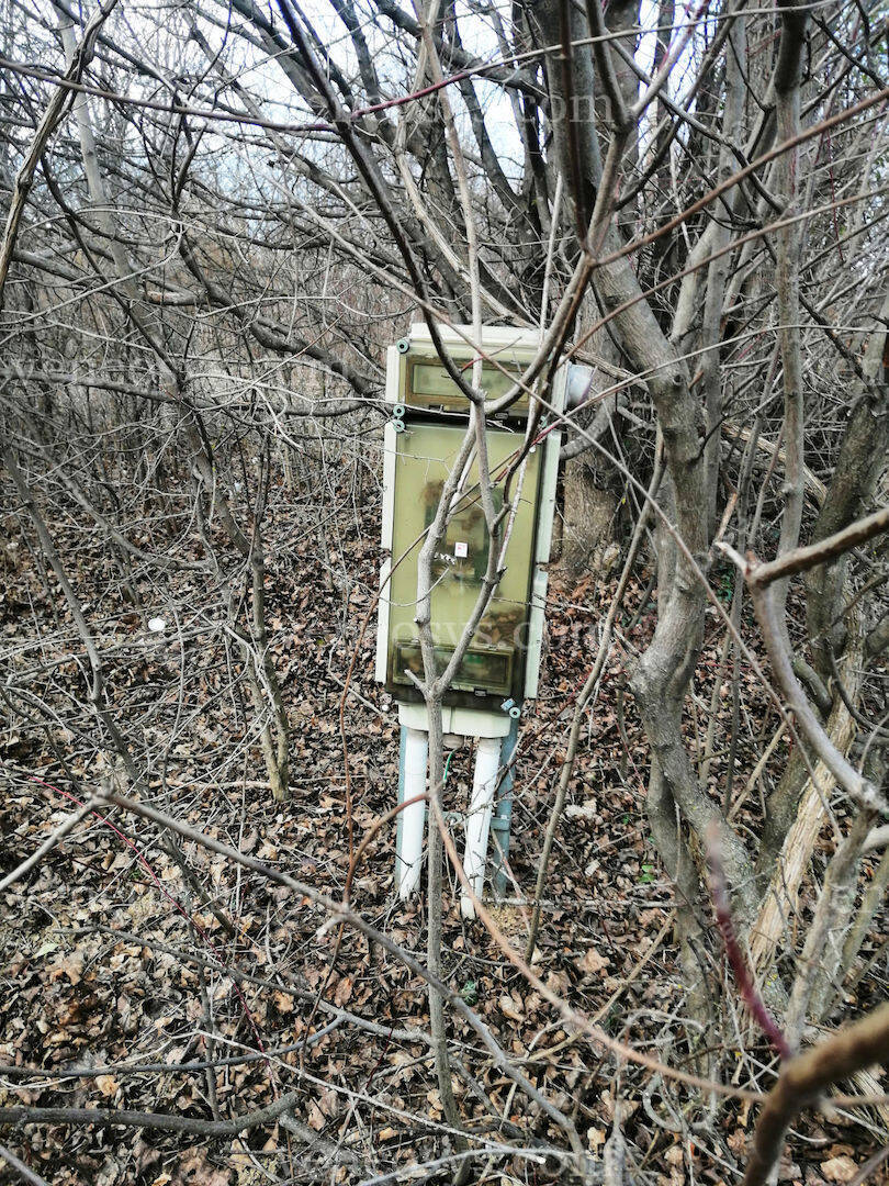 Kép 5