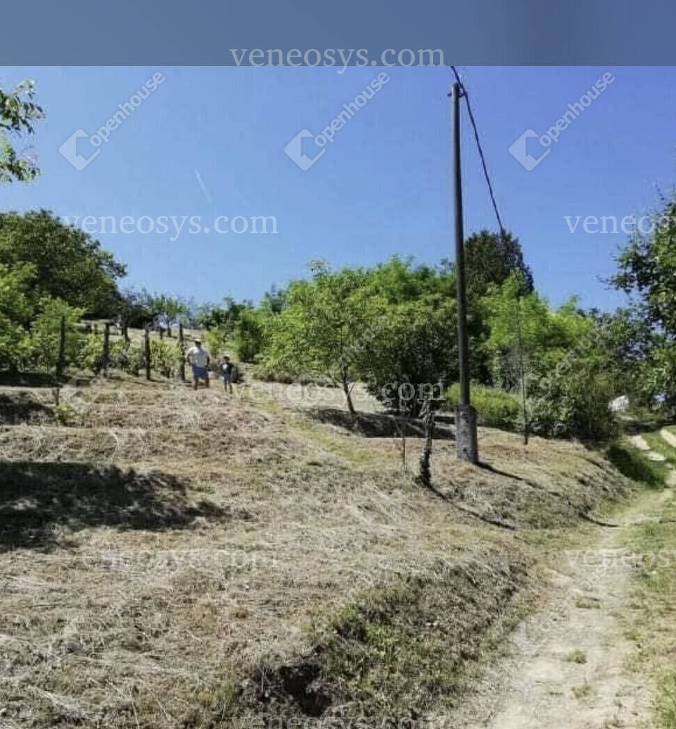 Kép 5