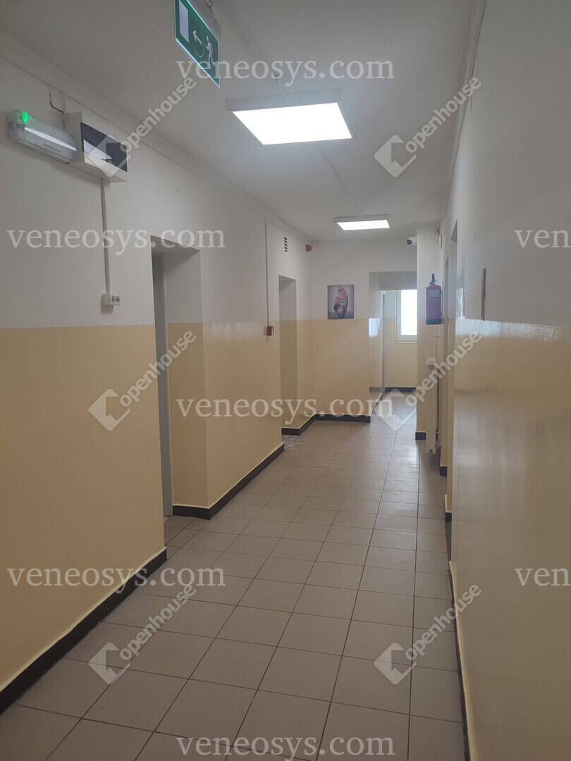 Kép 15