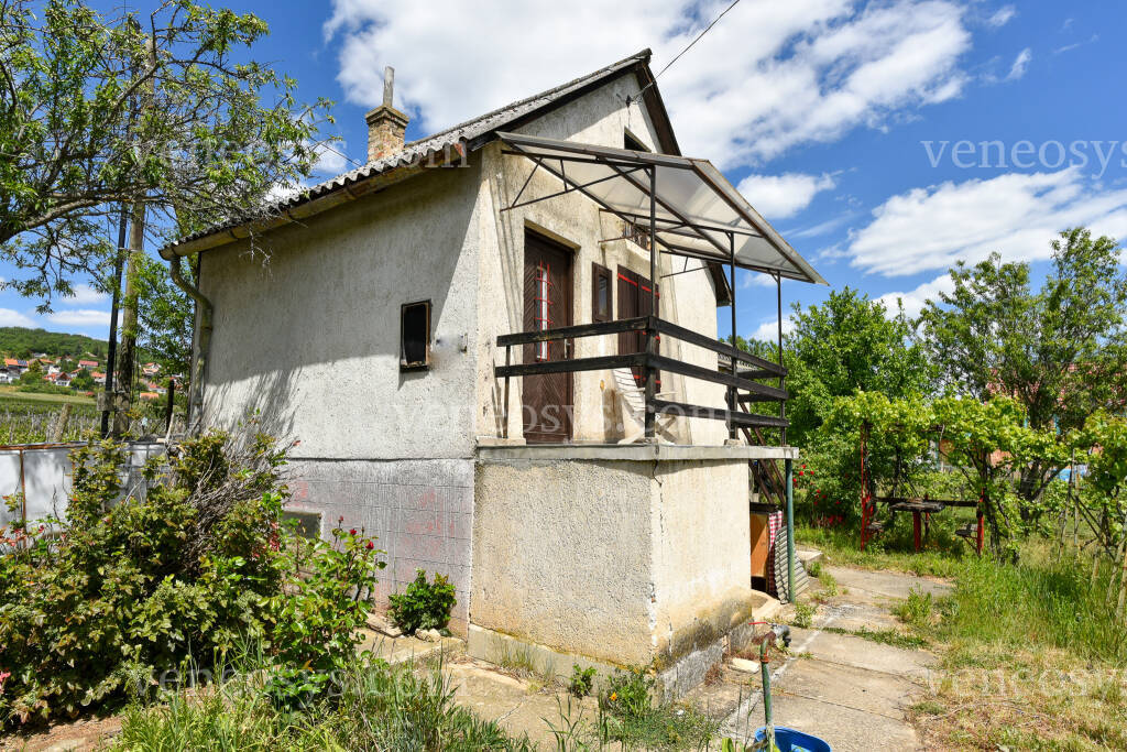 Kép 6