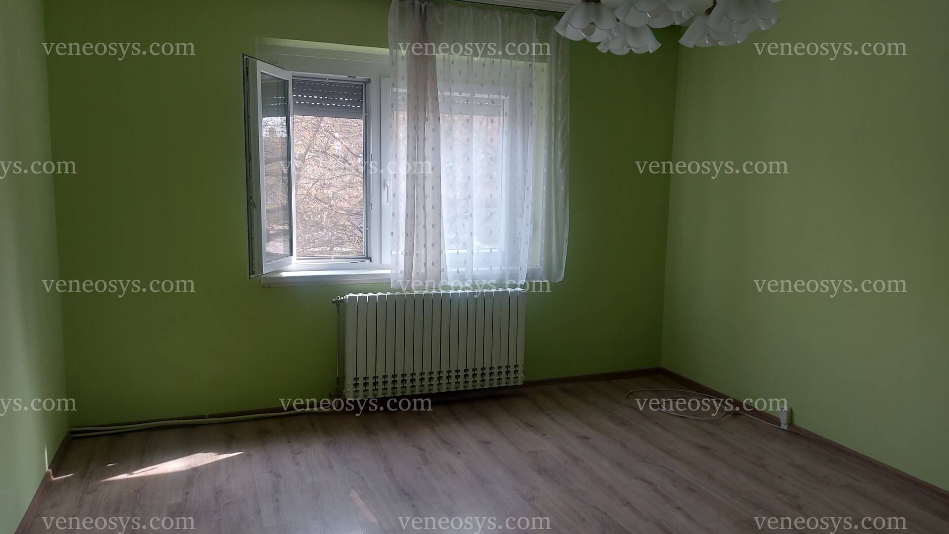 Kép 12