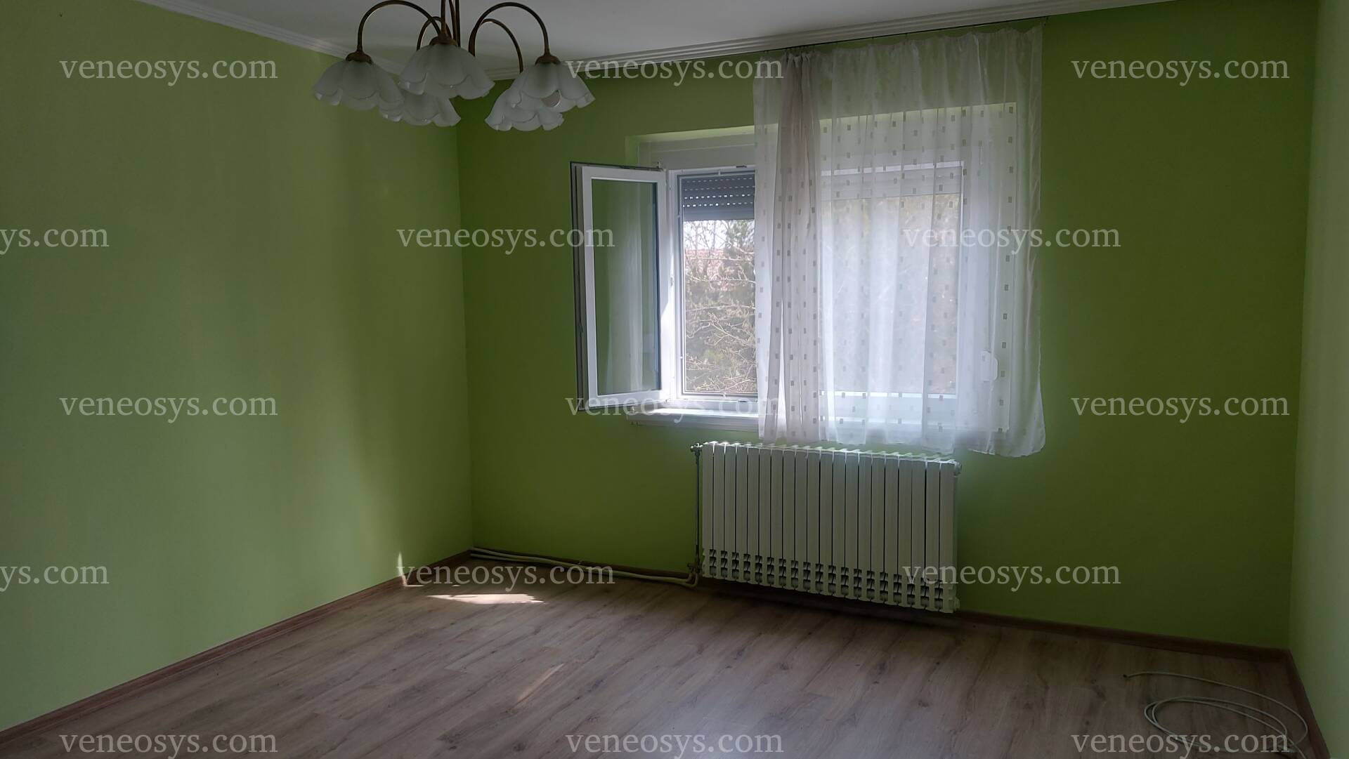 Kép 13
