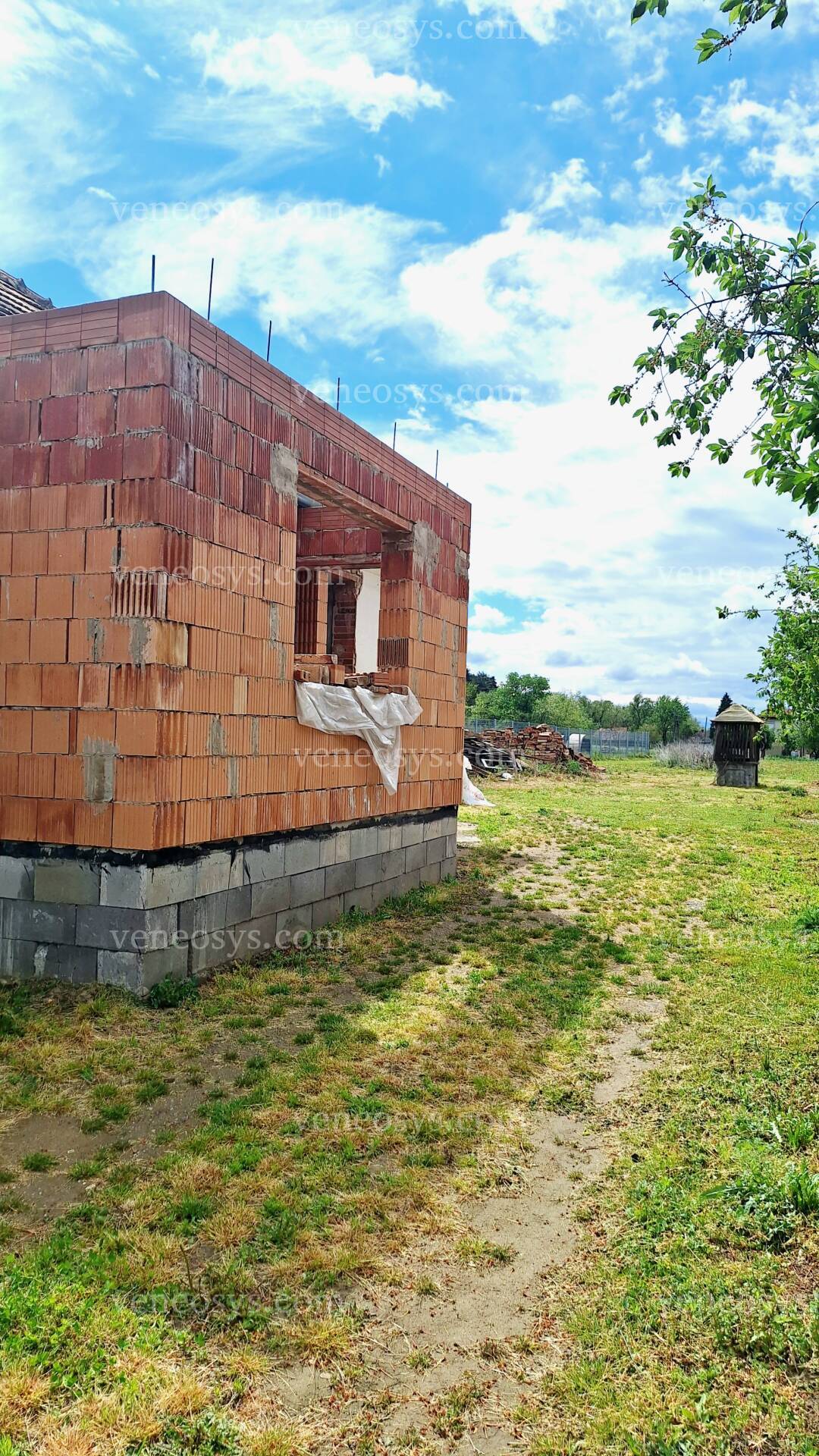 Kép 3