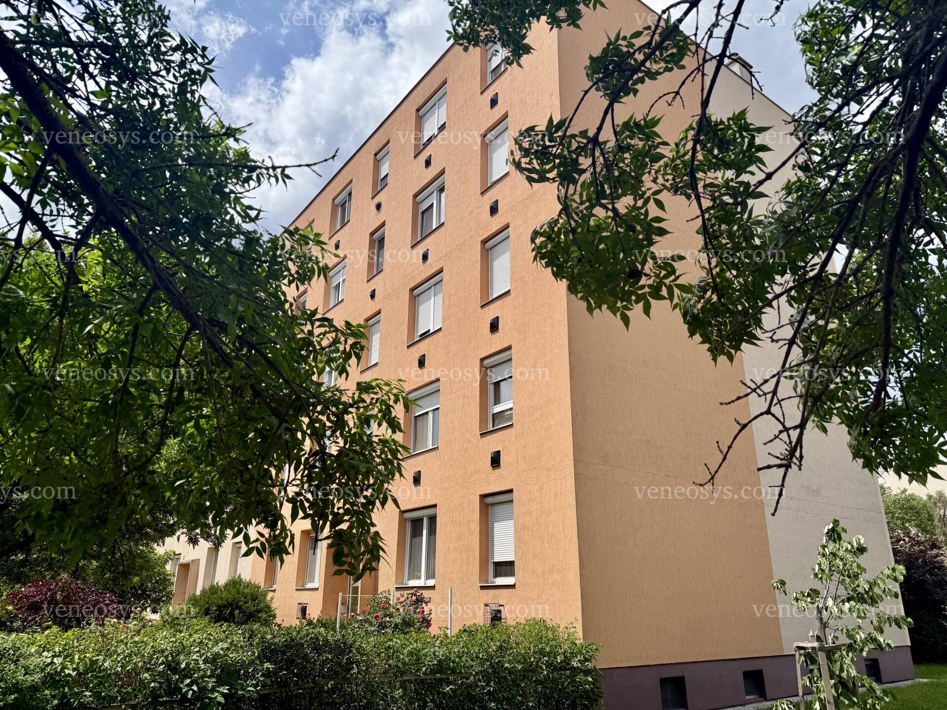 Kép 1
