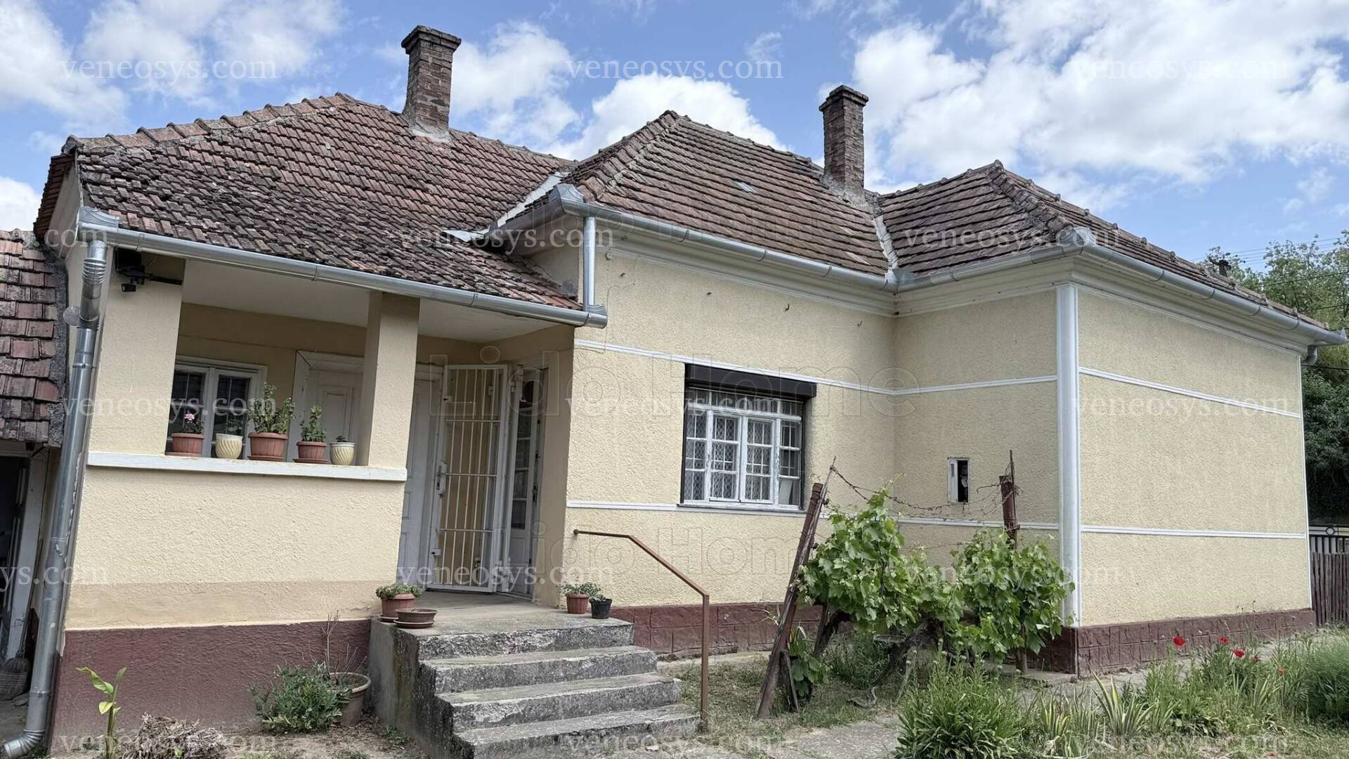 Kép 1