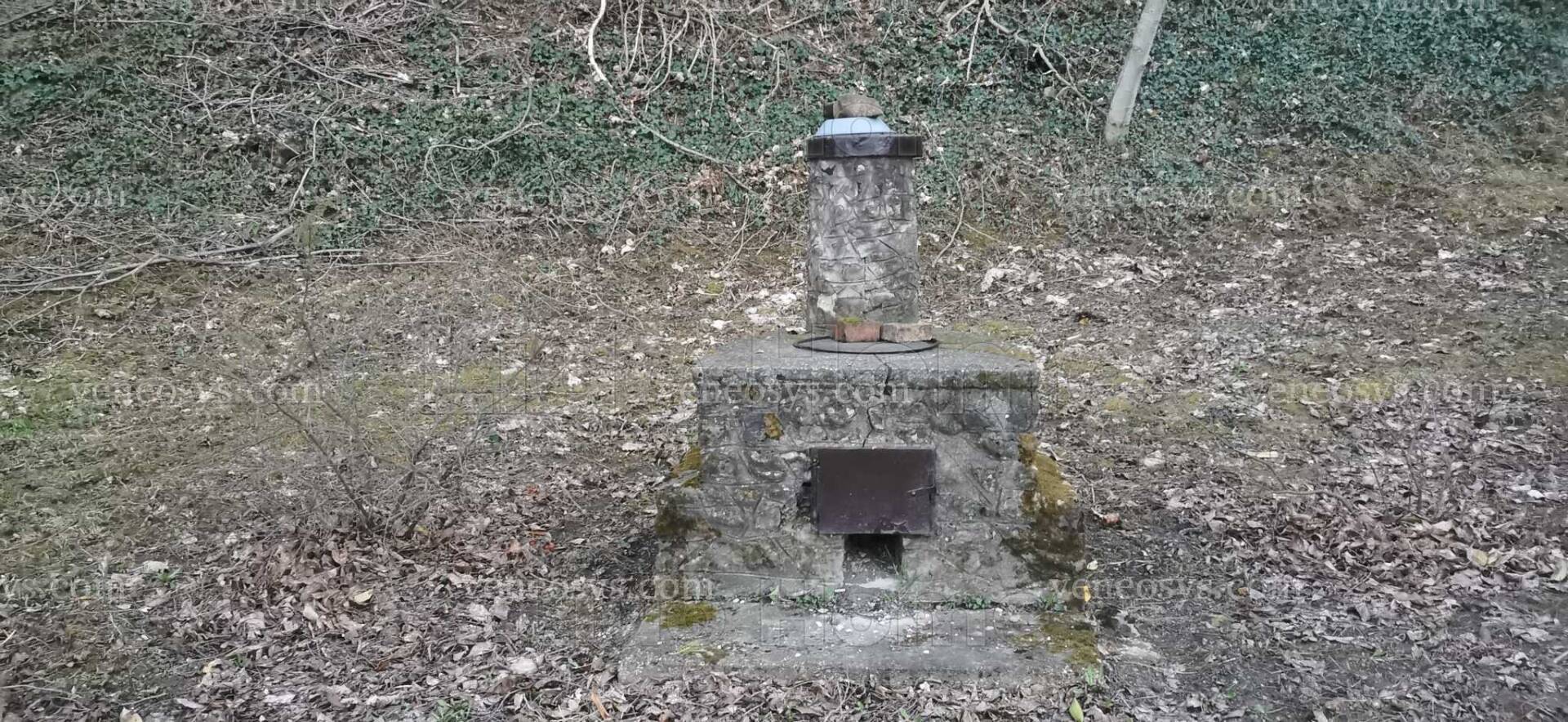 Kép 7