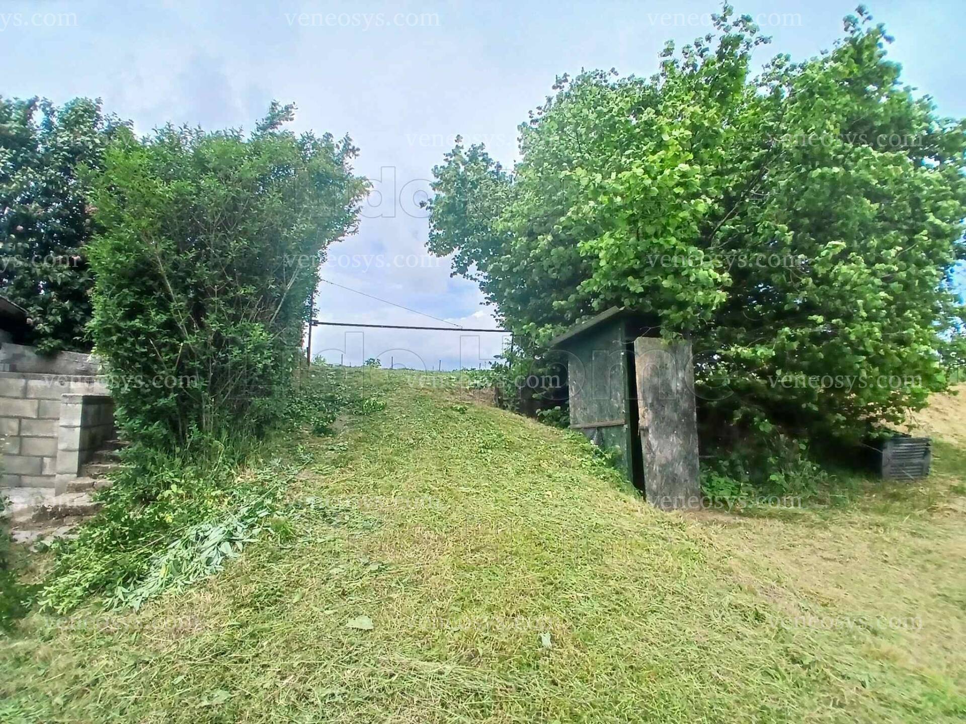 Kép 4