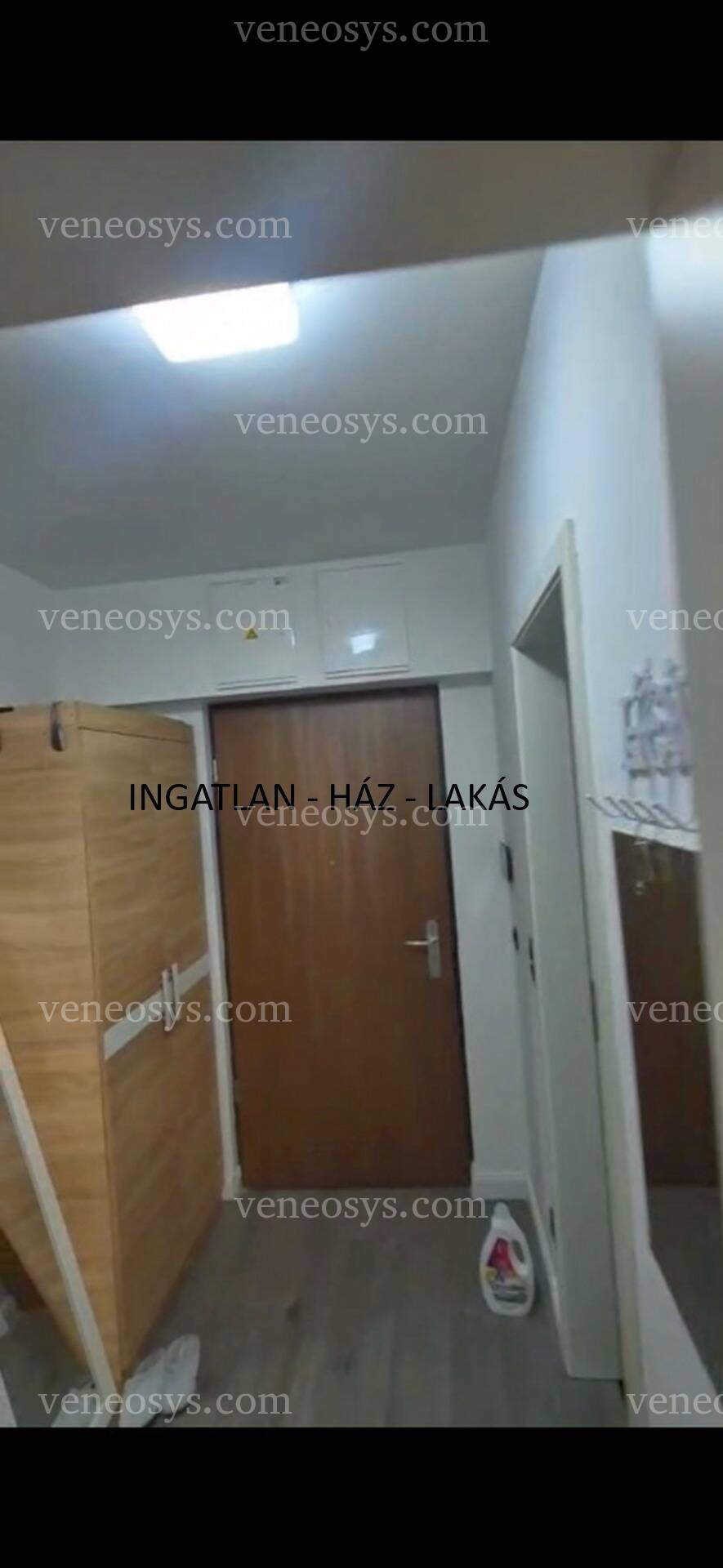 Kép 19