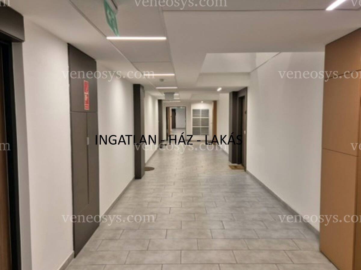 Kép 5