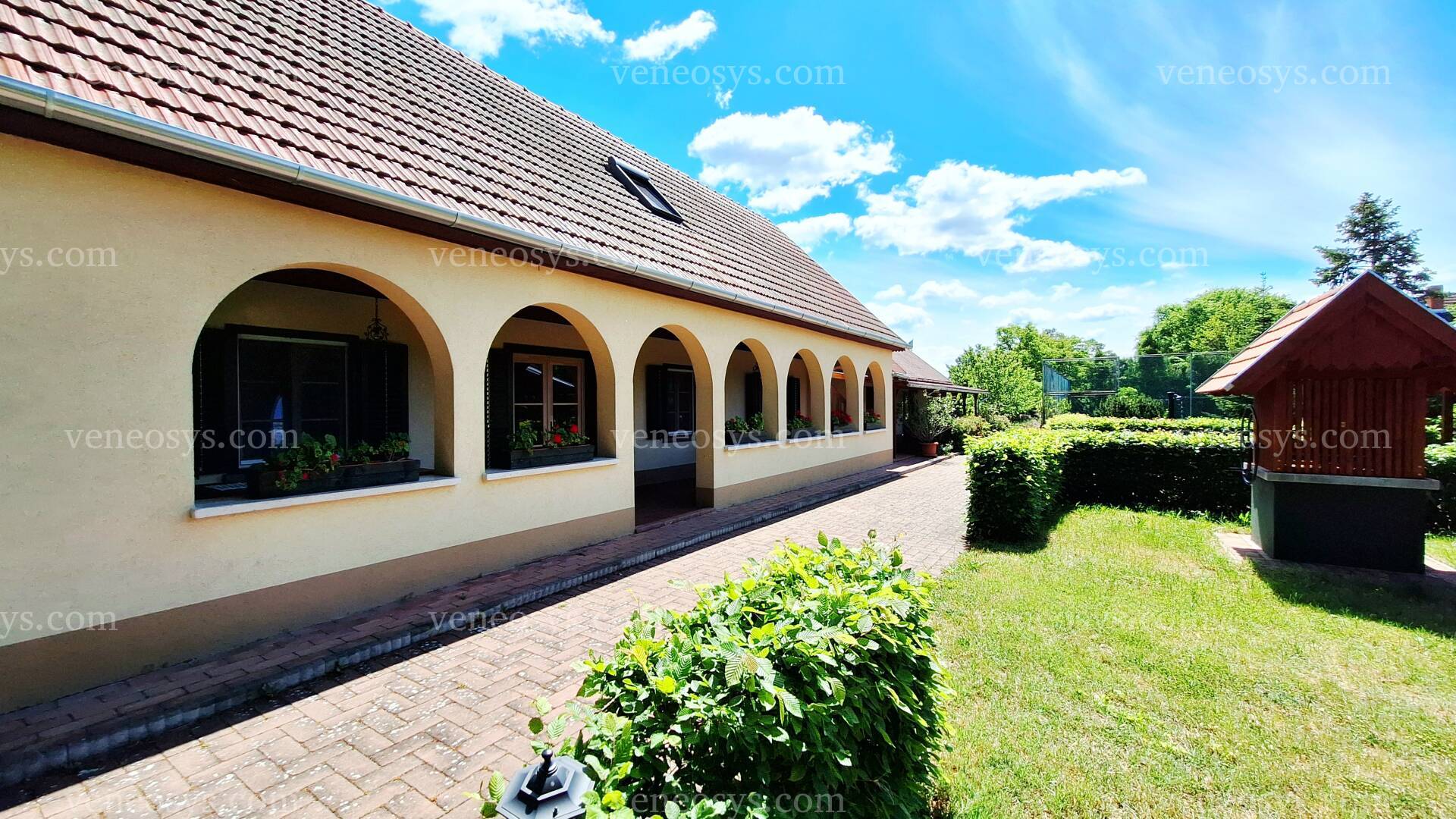 Kép 3