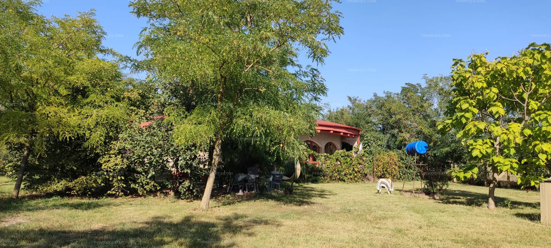 Kép 23
