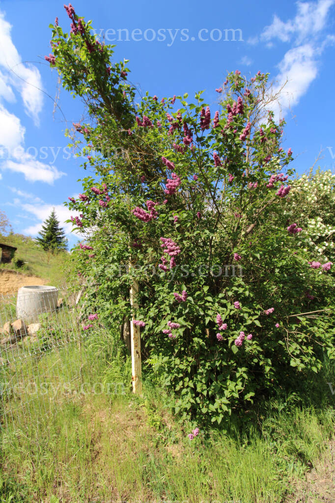 Kép 26