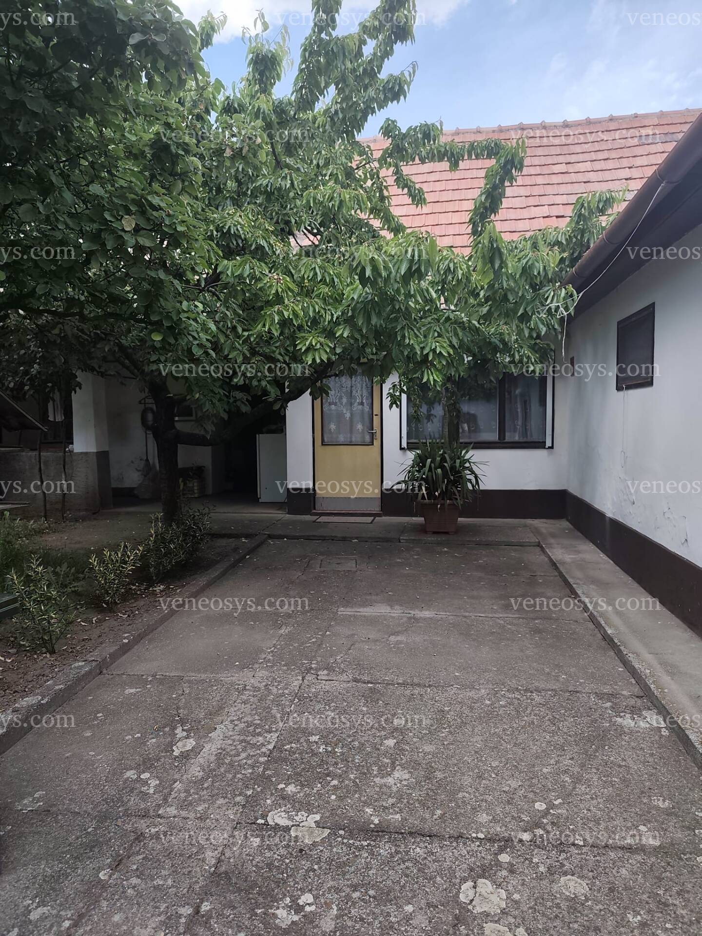 Kép 3