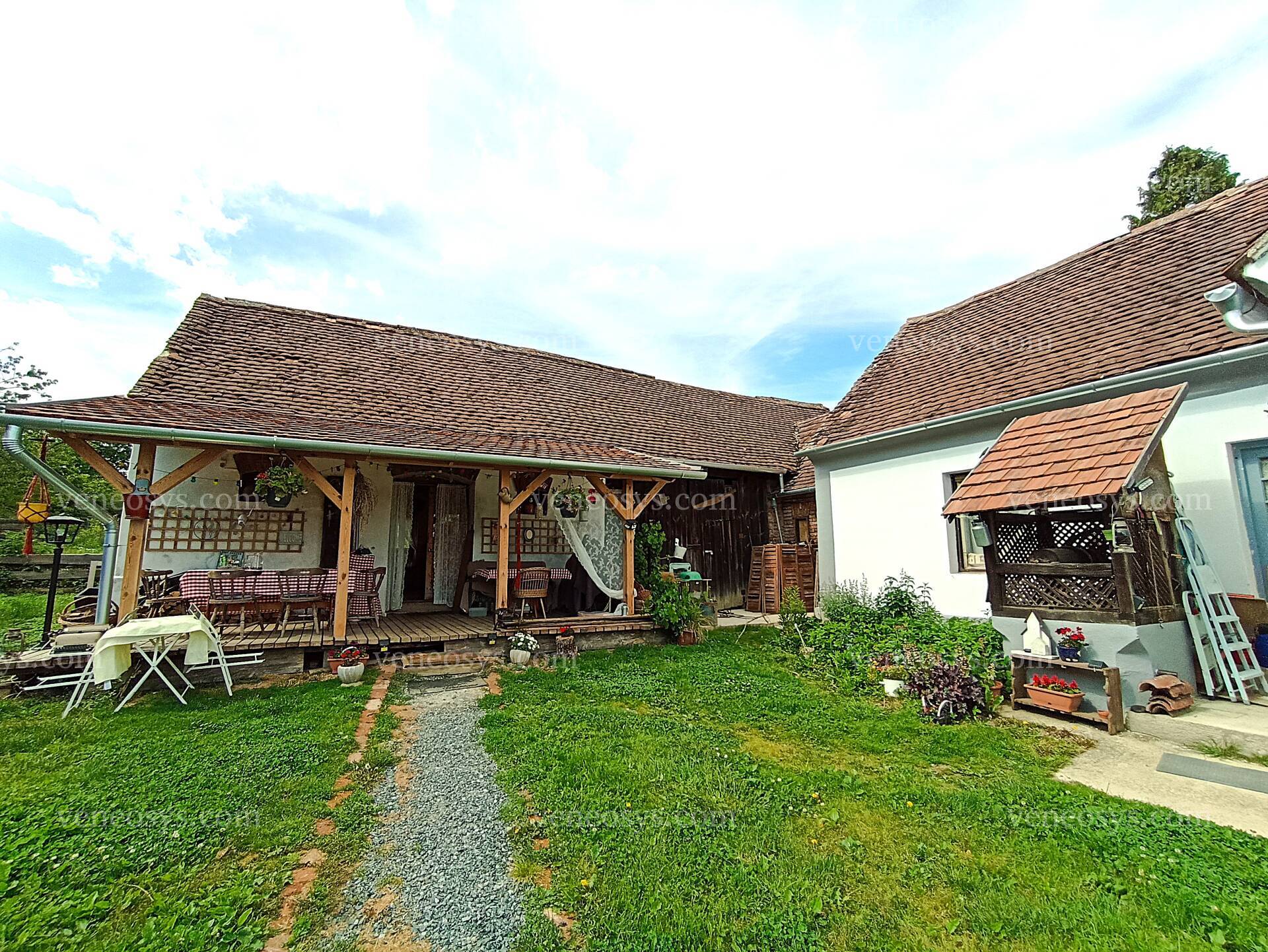 Kép 5