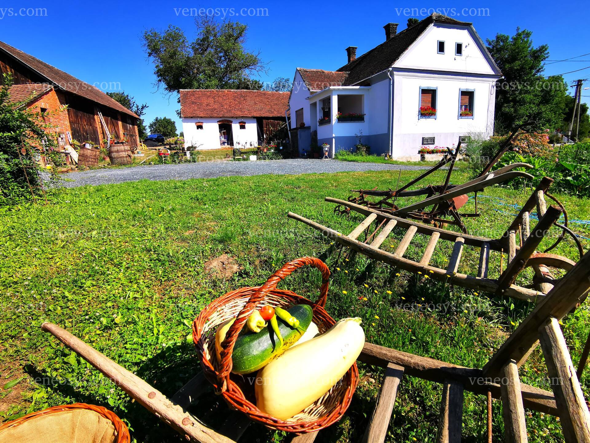 Kép 4
