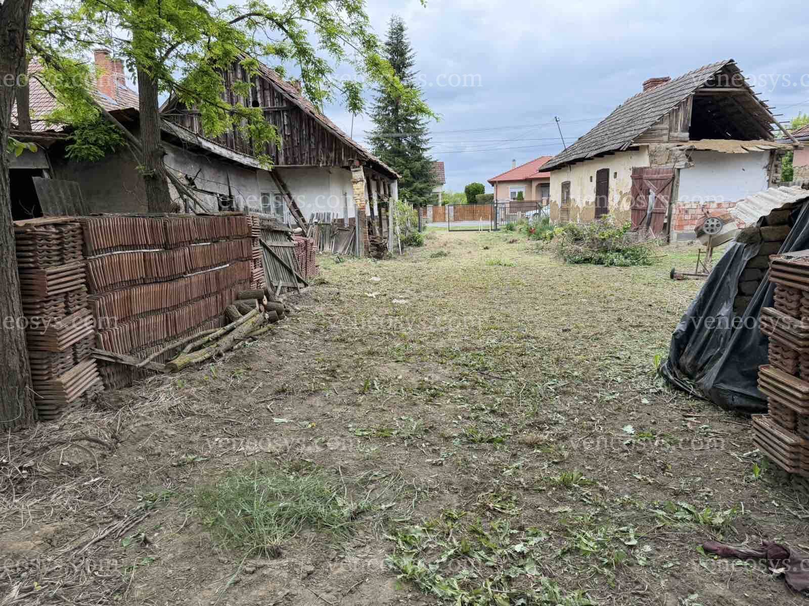 Kép 5