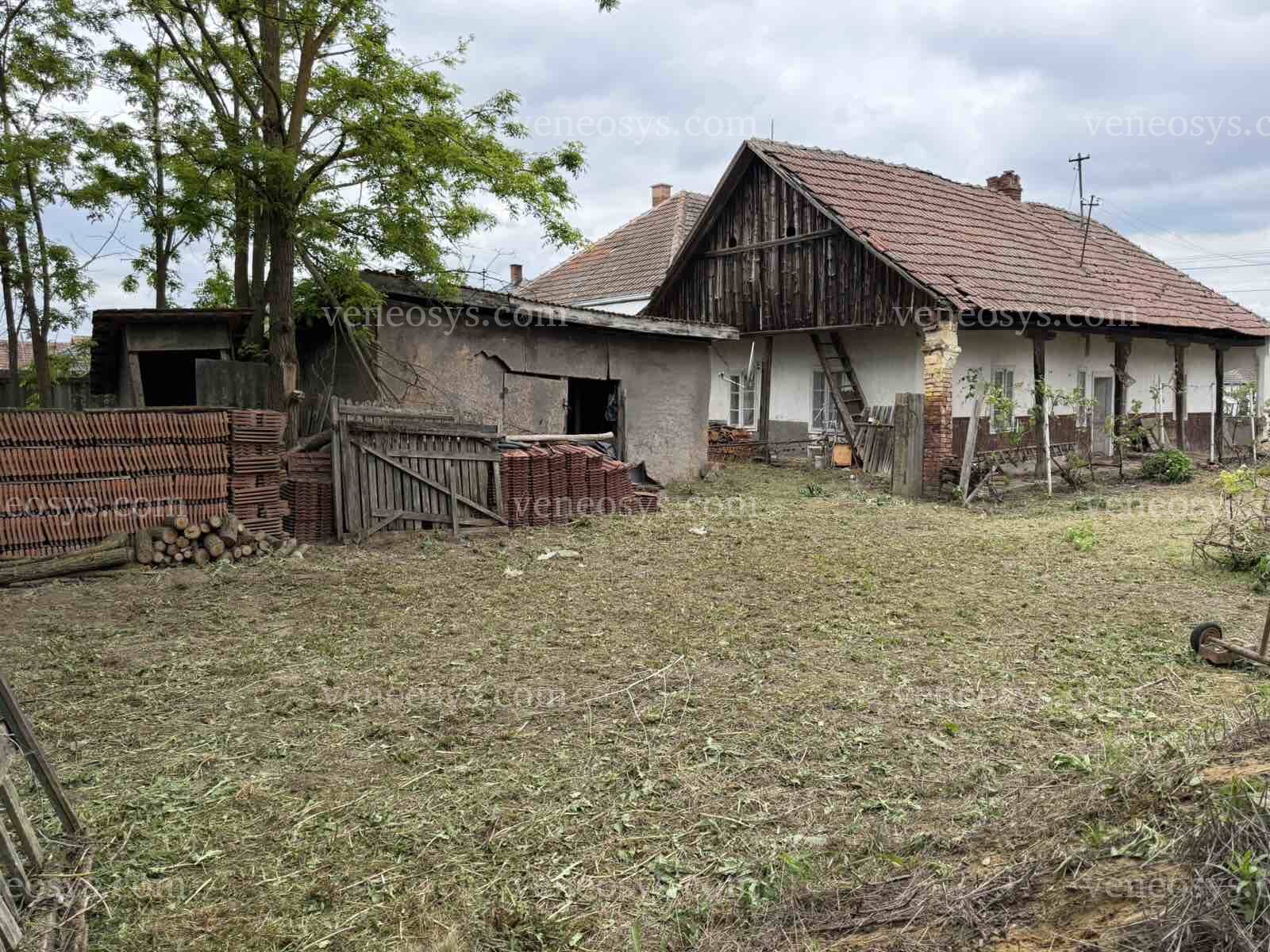 Kép 3