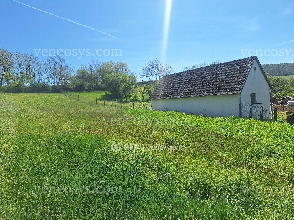 Kép 5