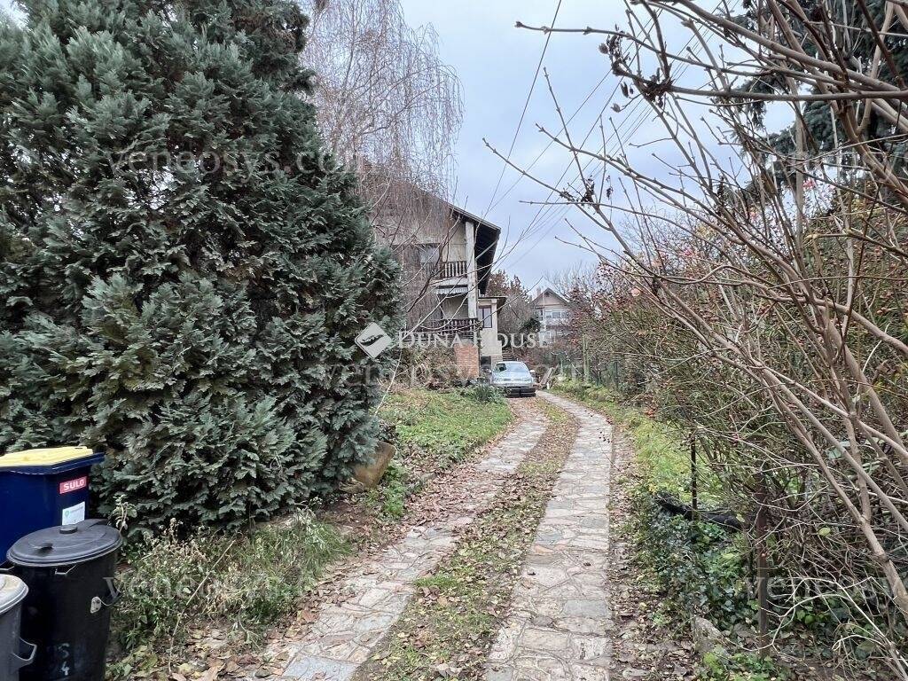 Kép 7