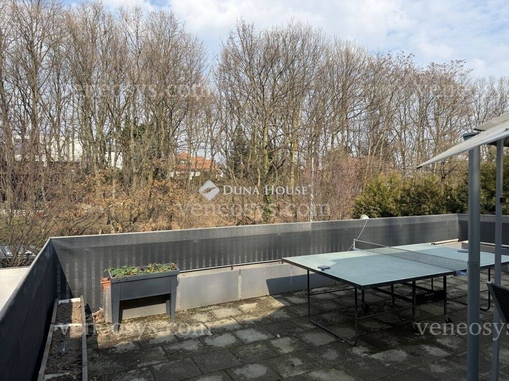Kép 19