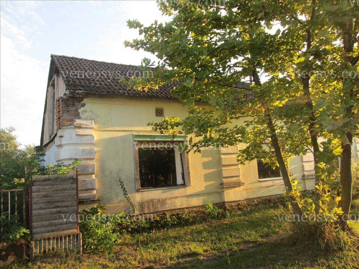 Kép 2