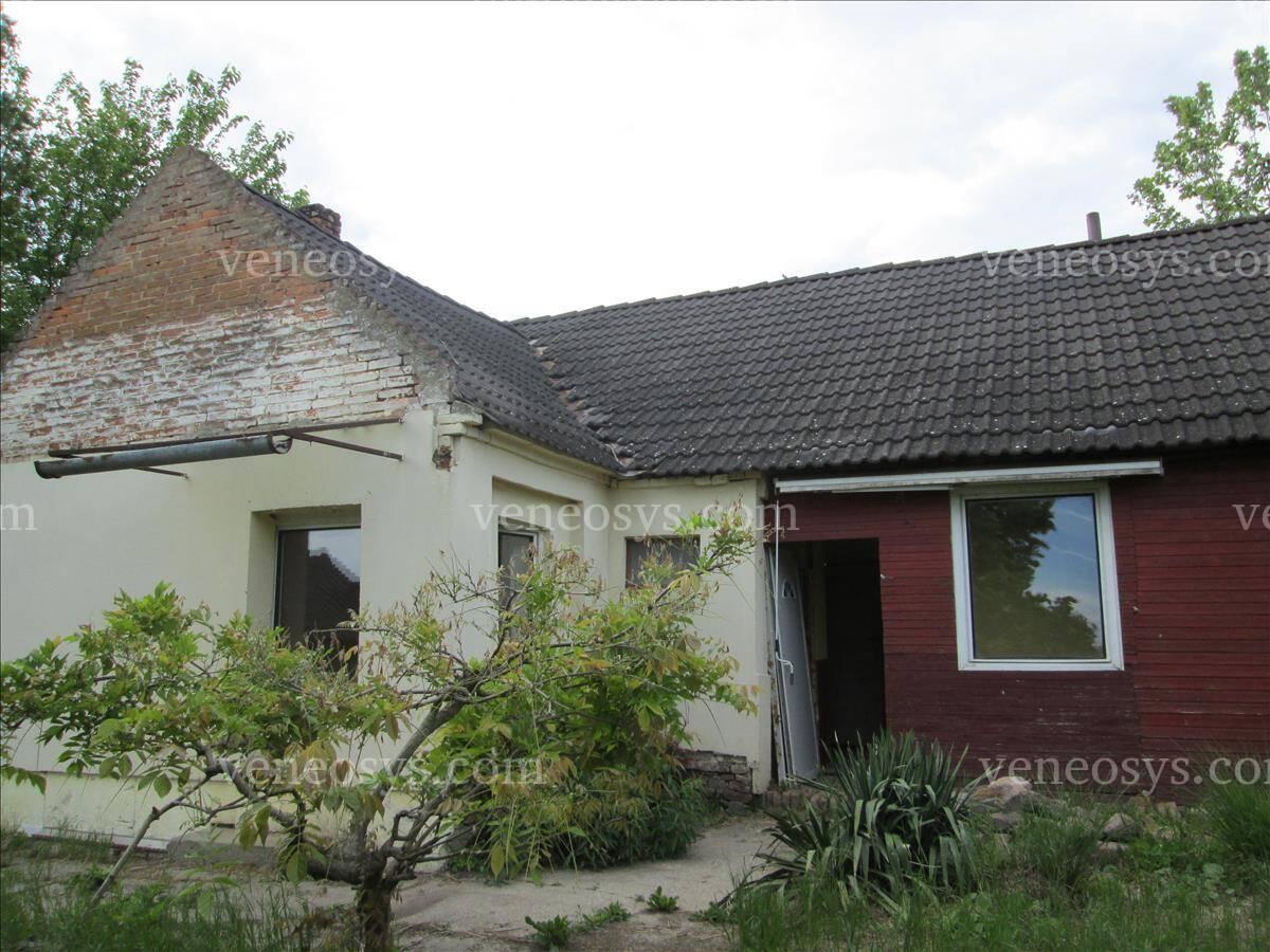 Kép 4
