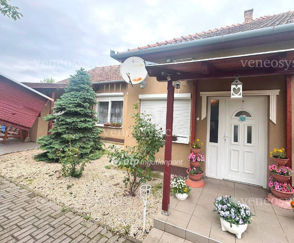 Kép 4