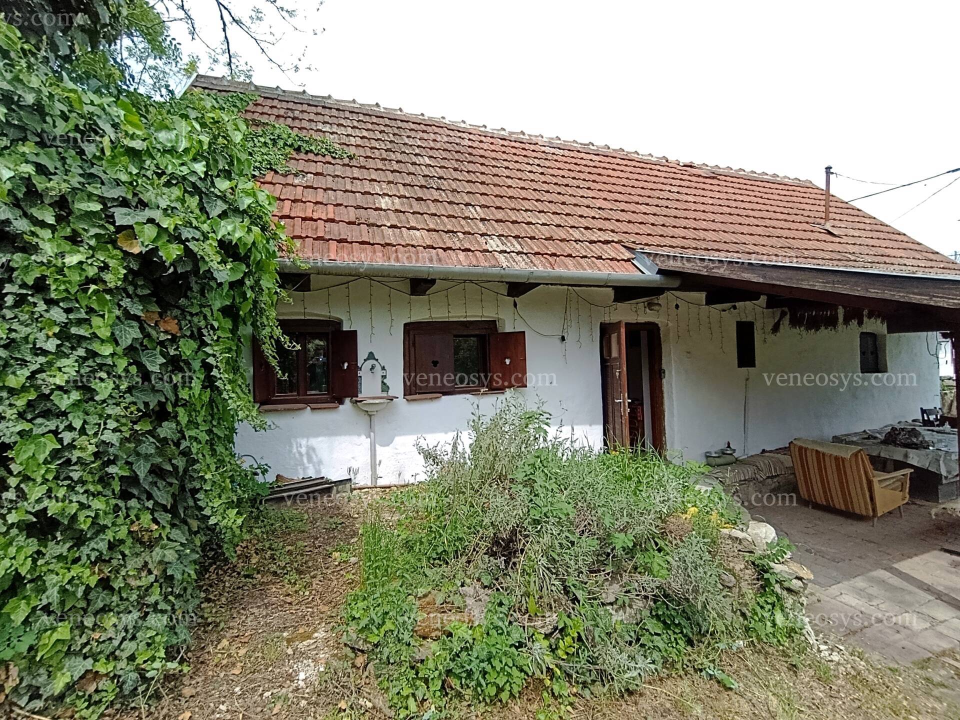 Kép 3