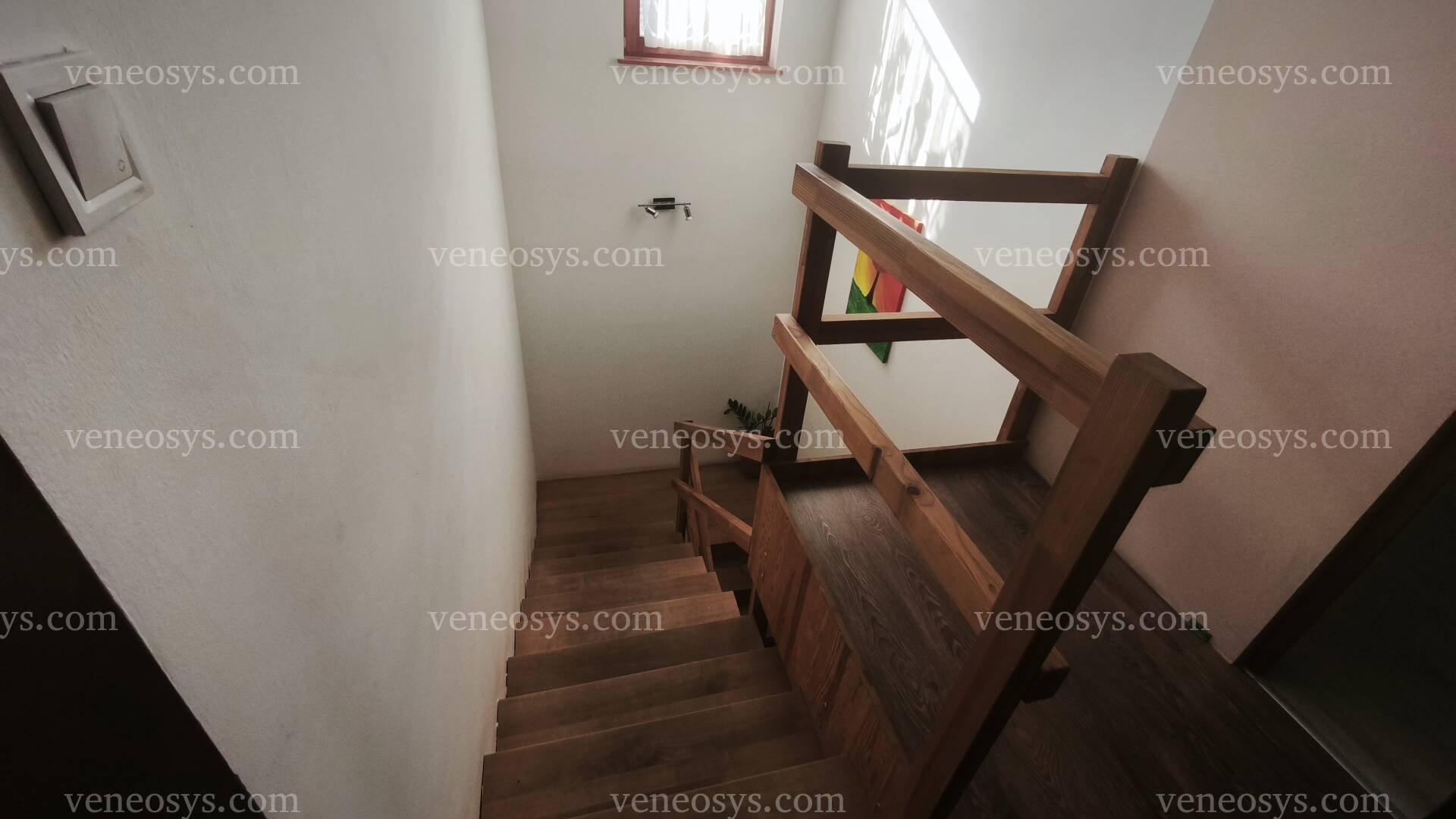 Kép 12