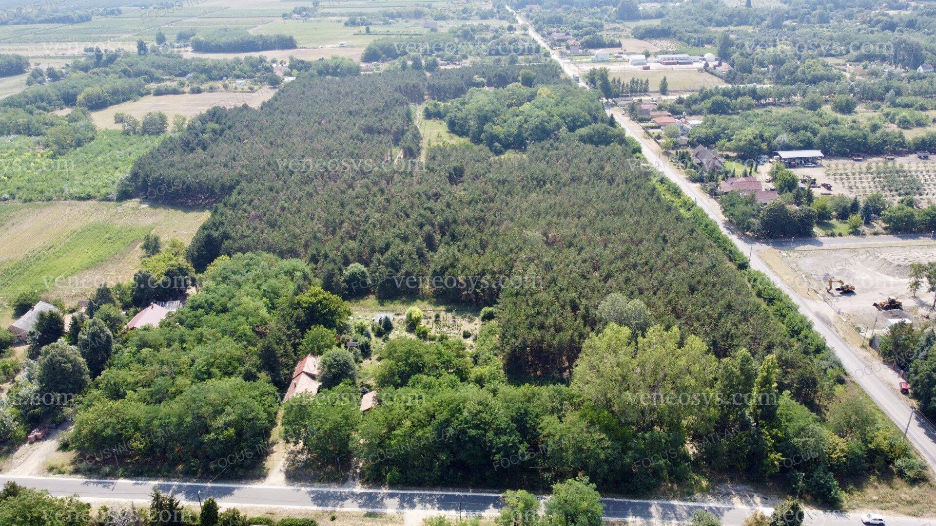Kép 9