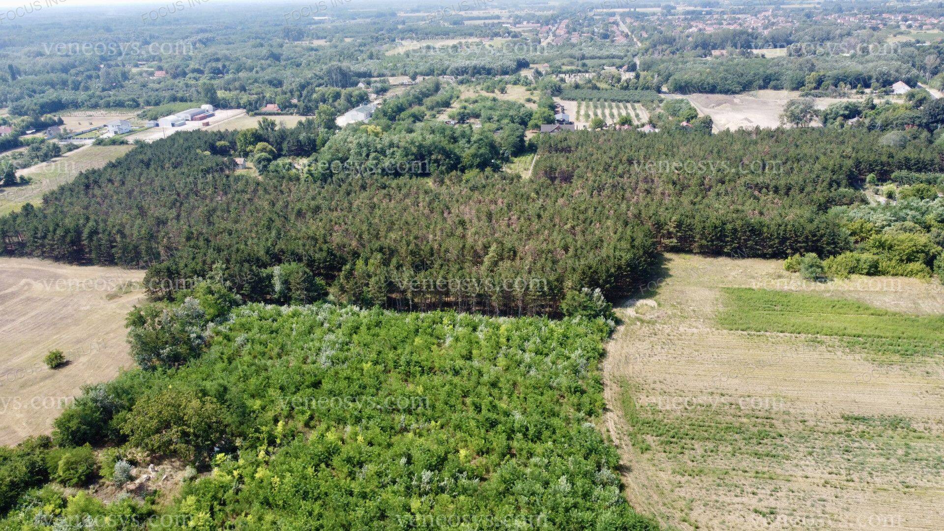 Kép 6