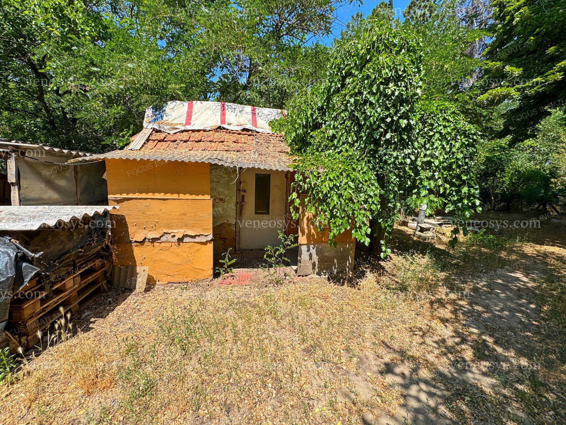 Kép 5