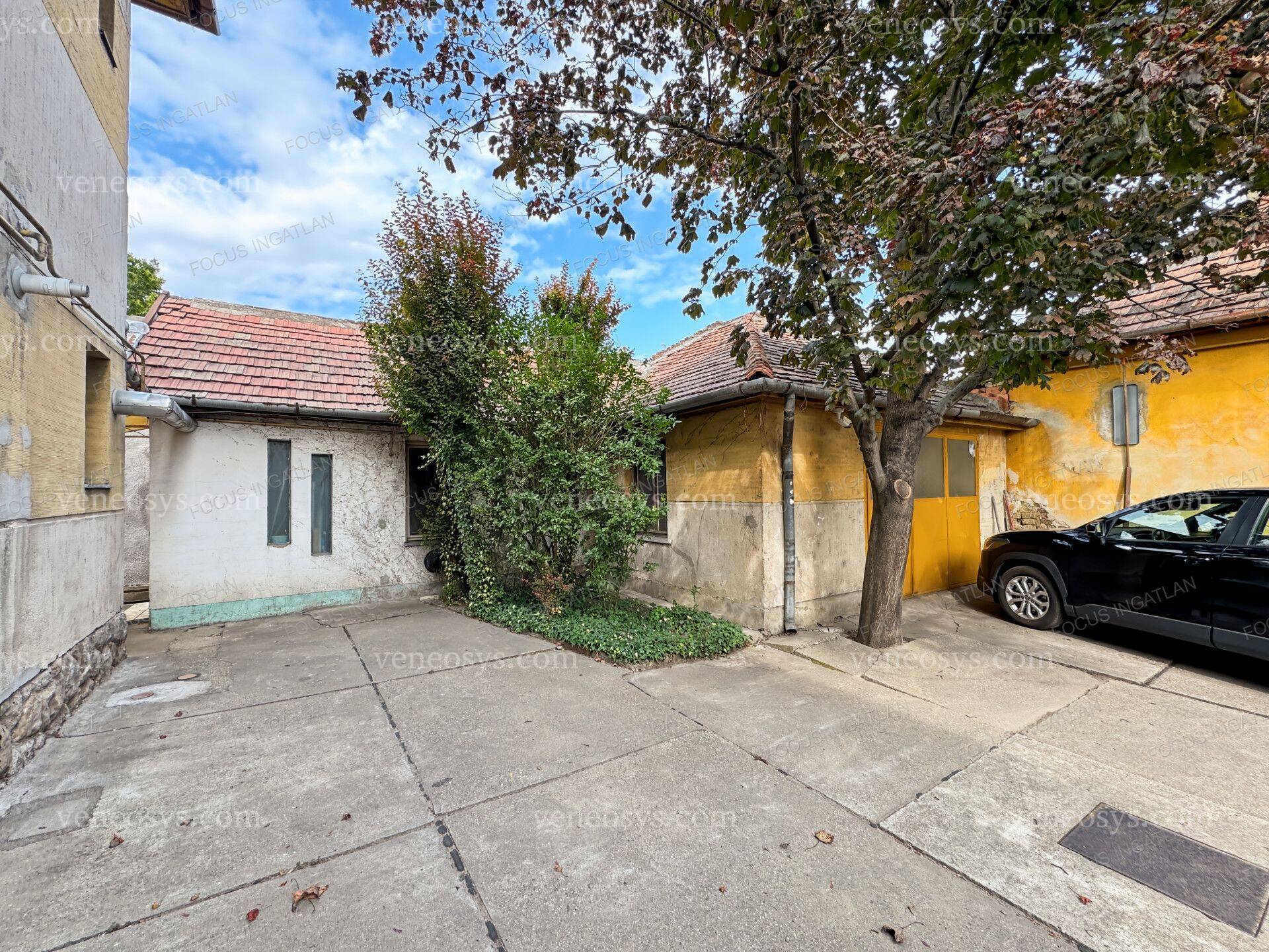 Kép 12