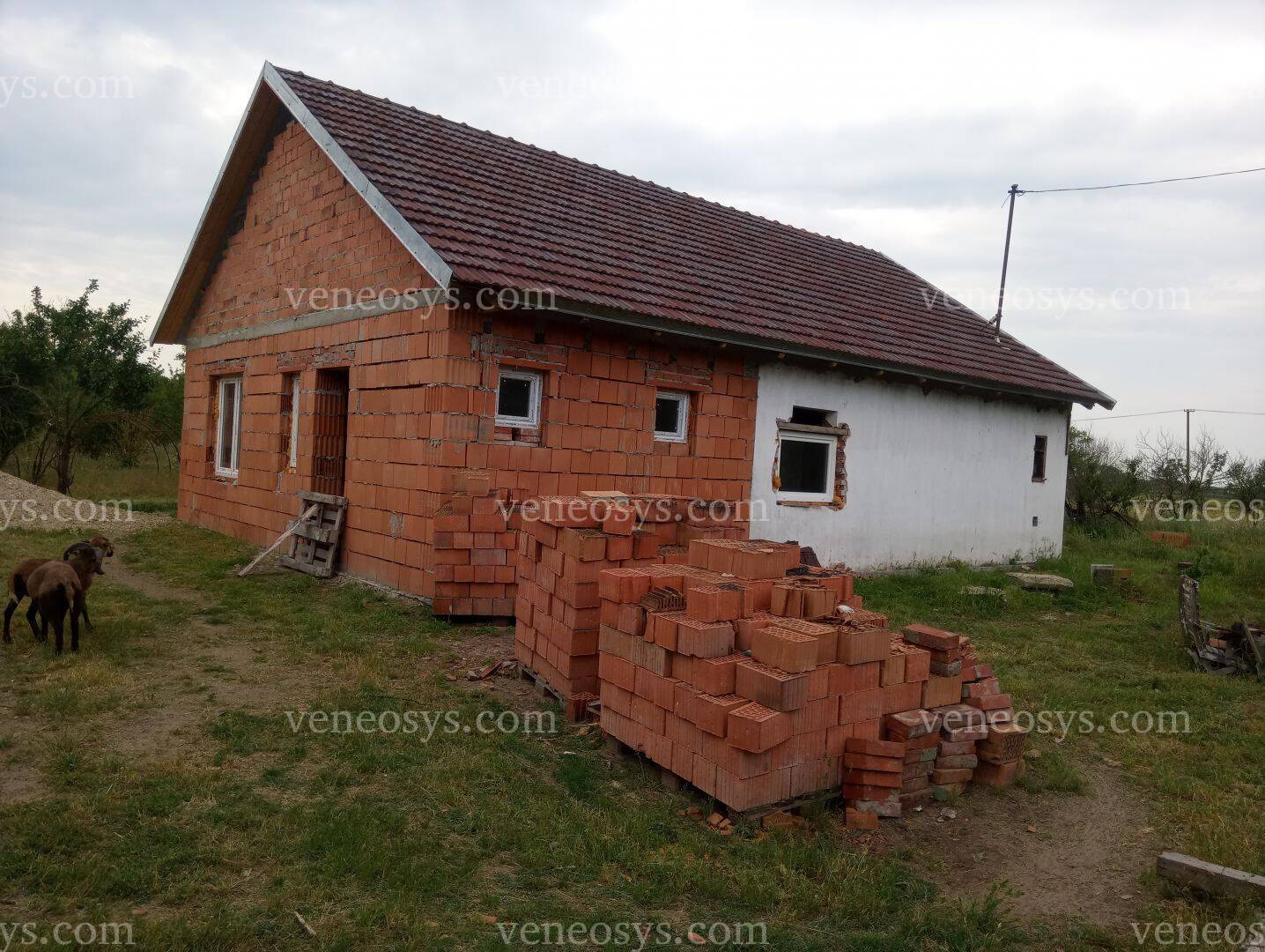 Csongrád