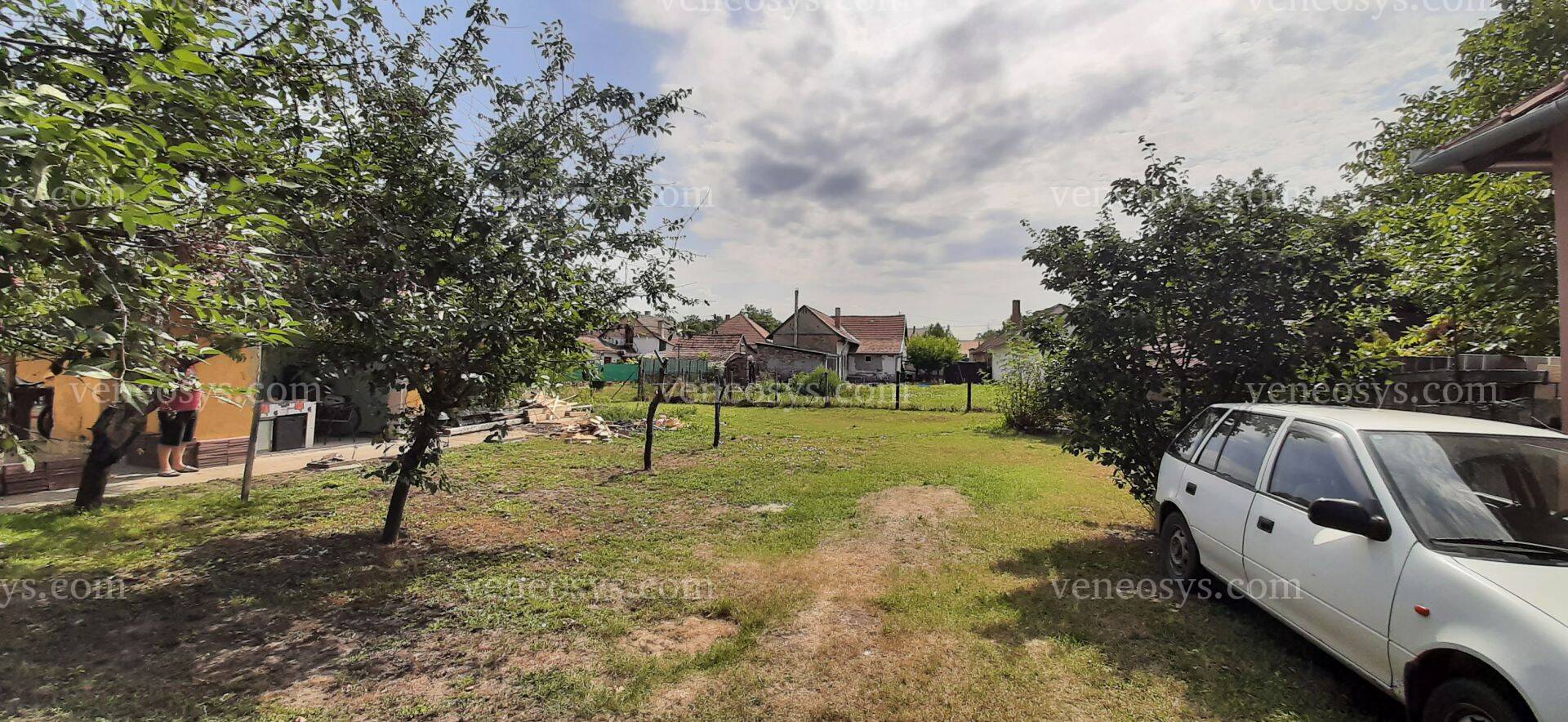 Kép 4