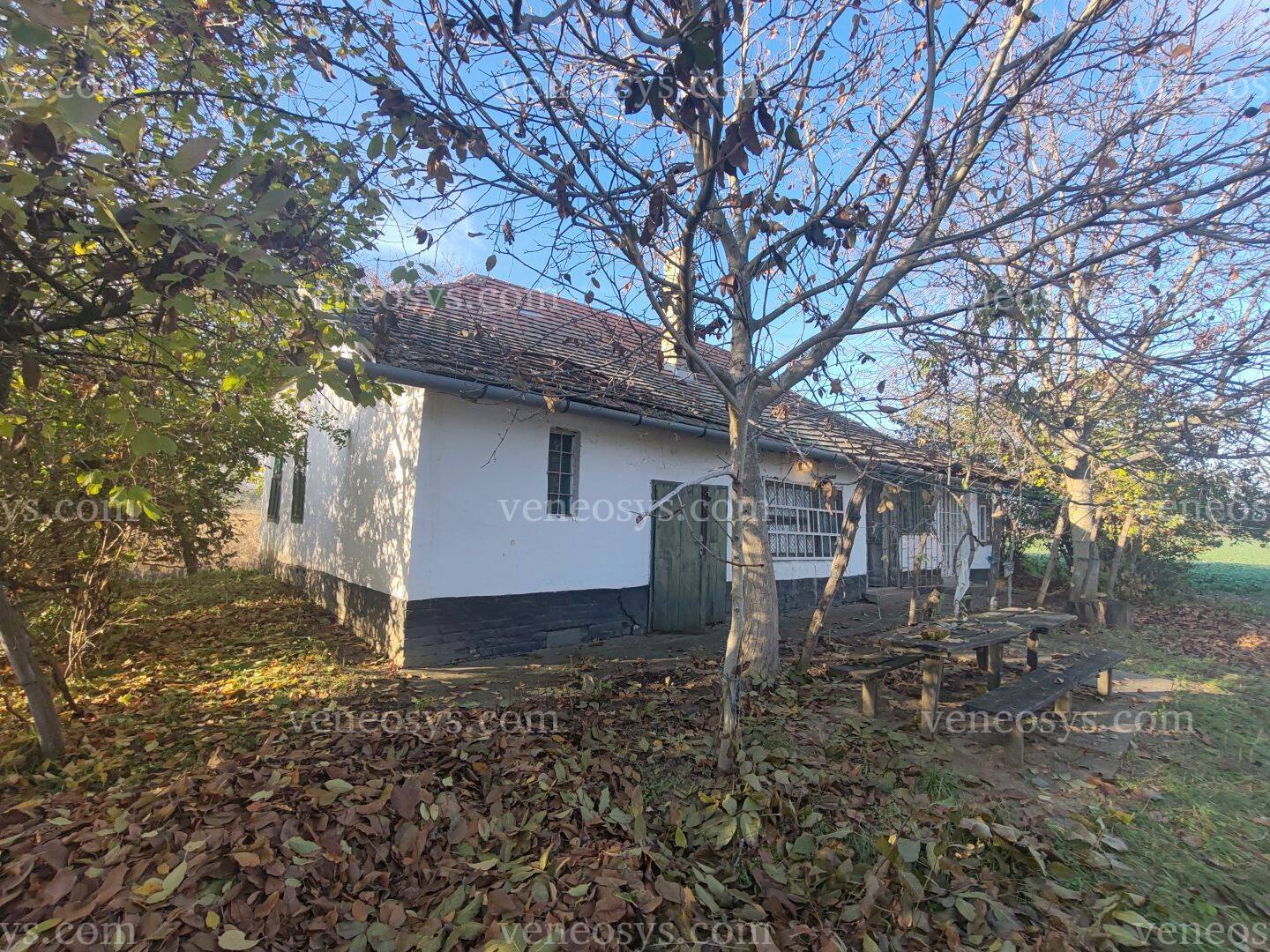 Kép 5