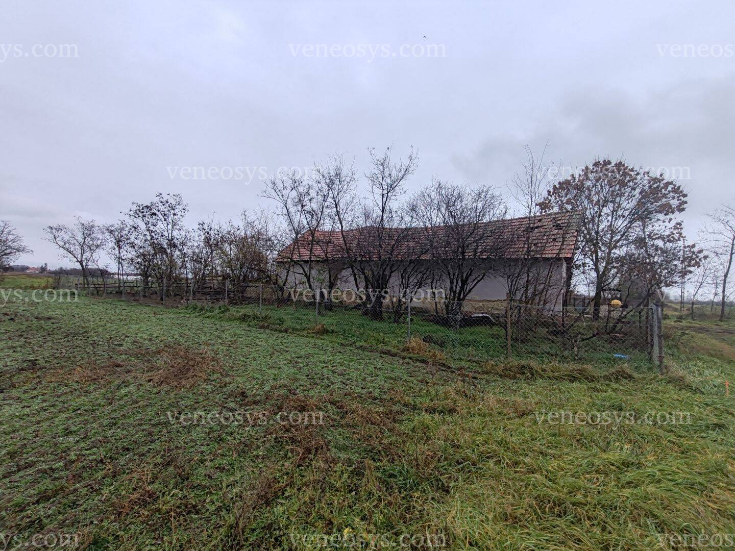 Csanytelek