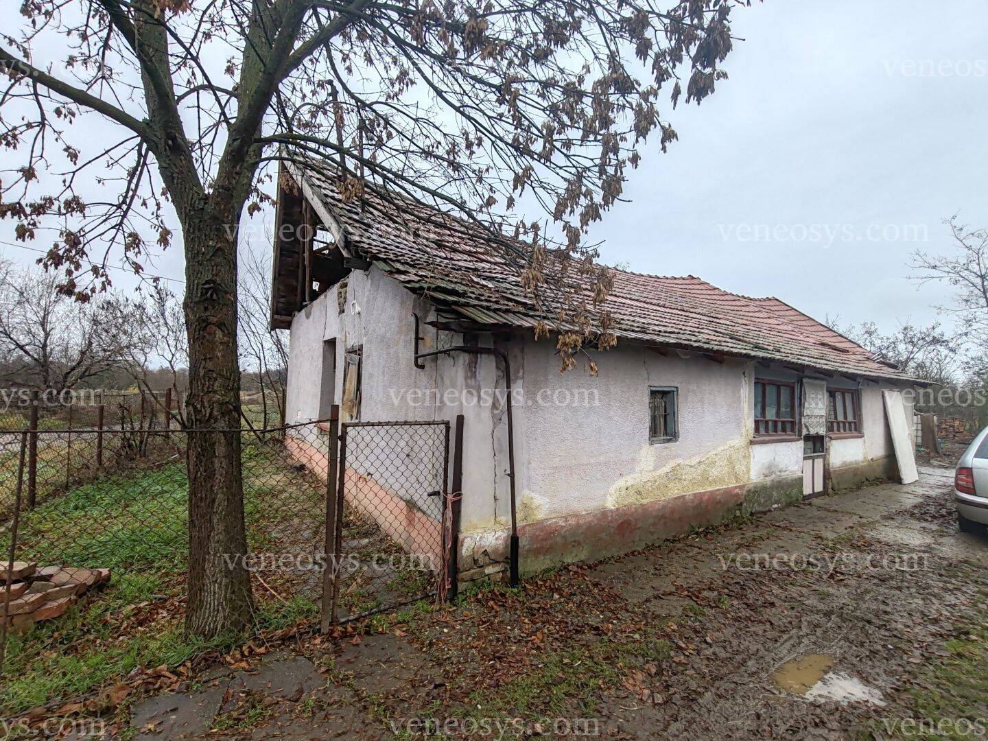 Kép 2