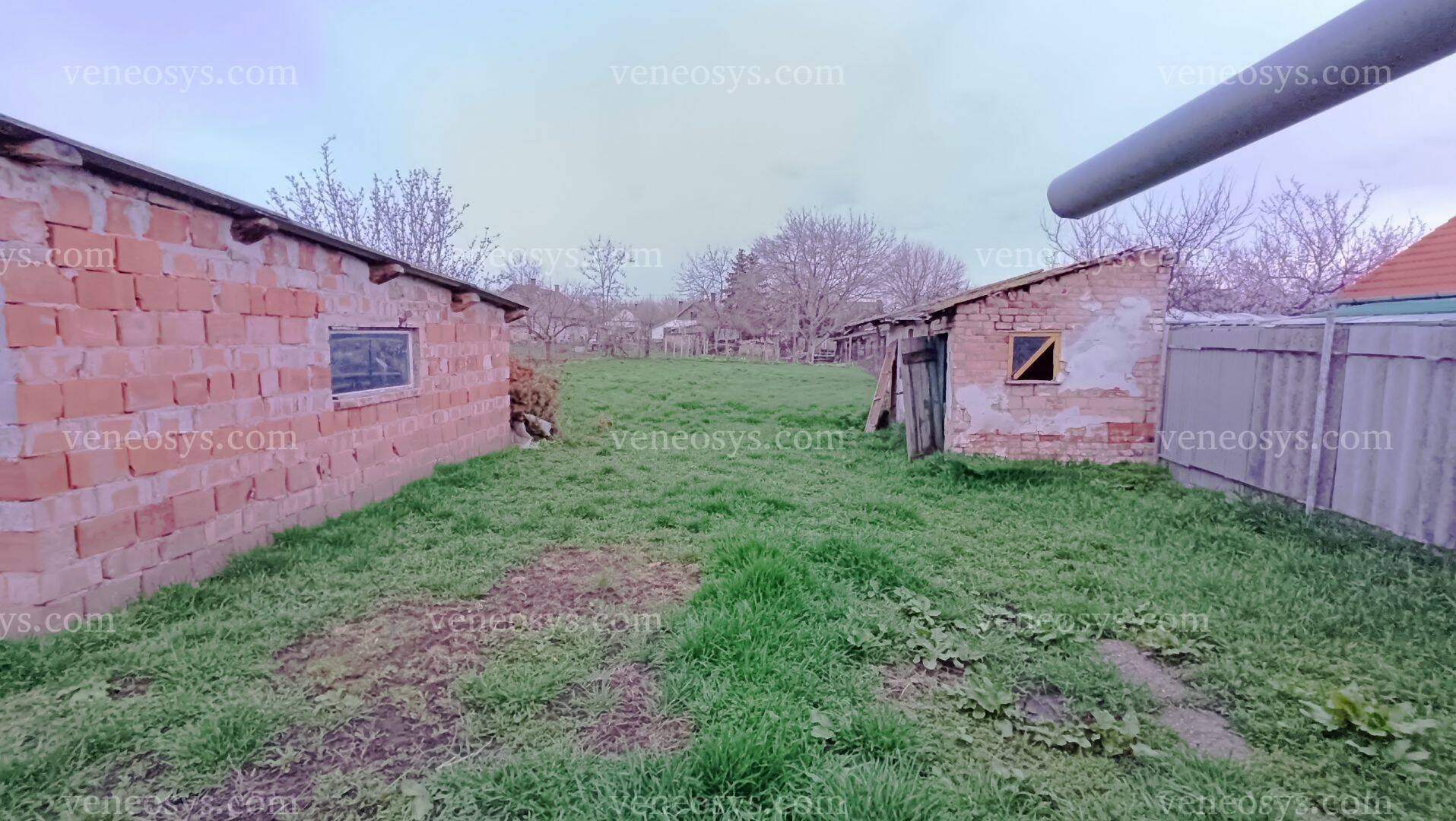 Kép 15