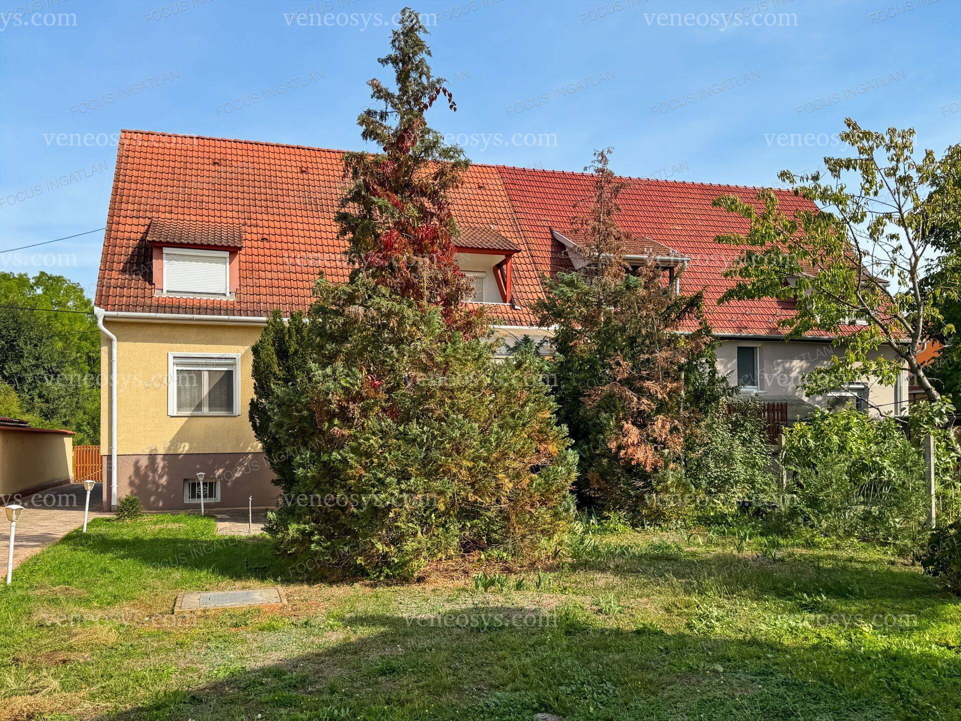 Kép 4