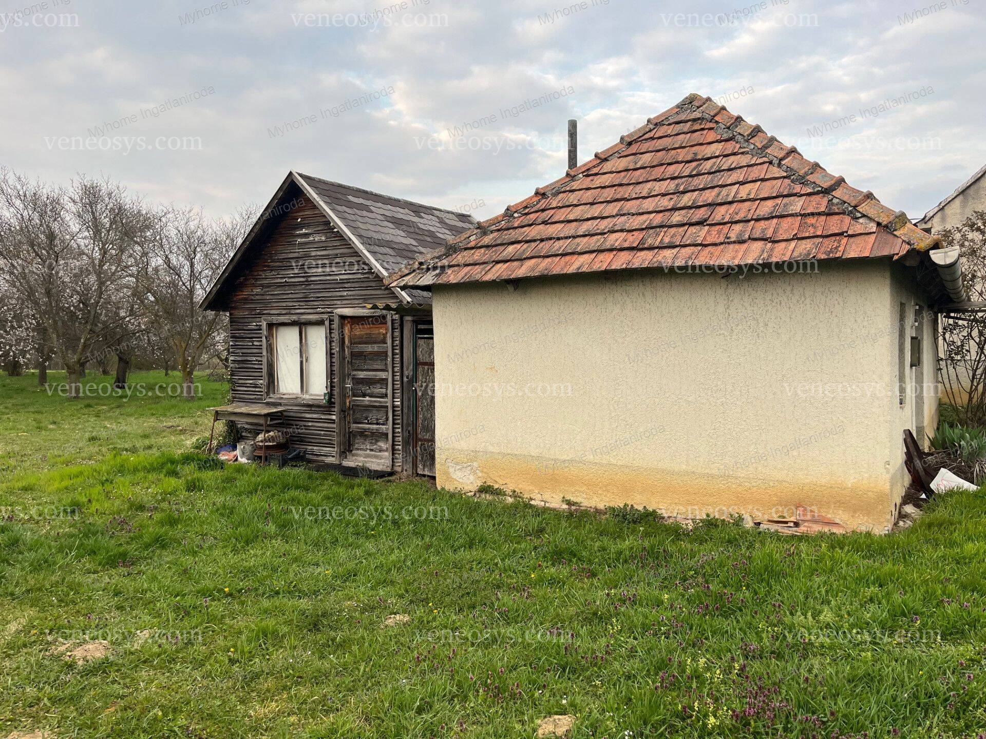 Kép 3