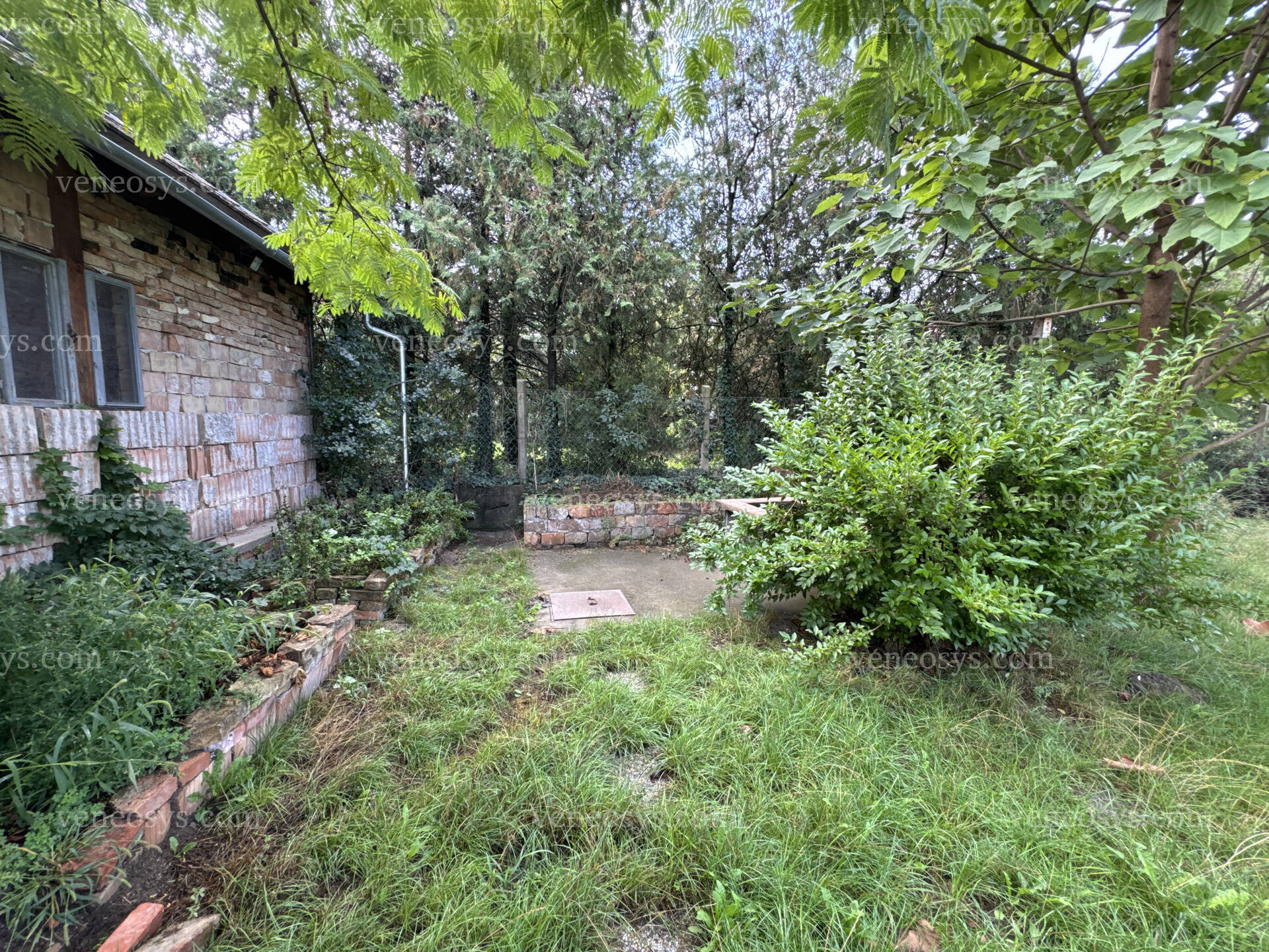 Kép 18