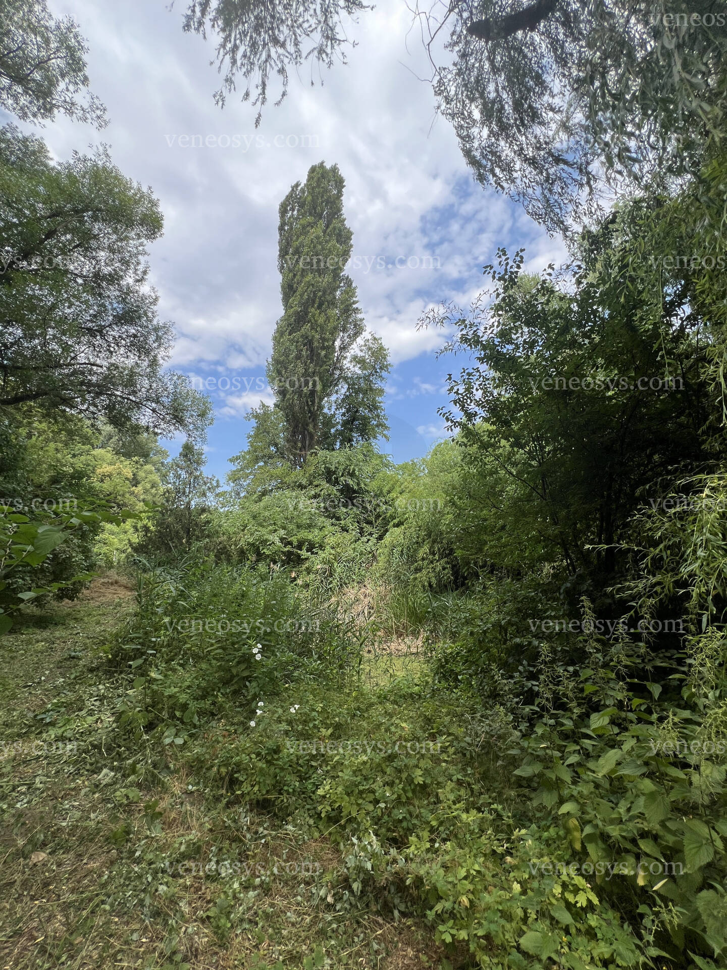 Kép 10