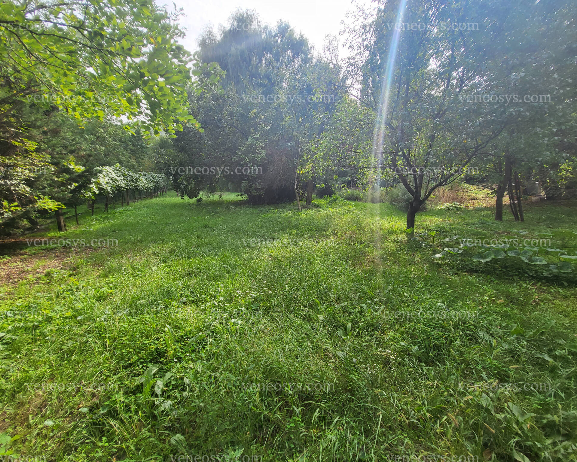 Kép 18