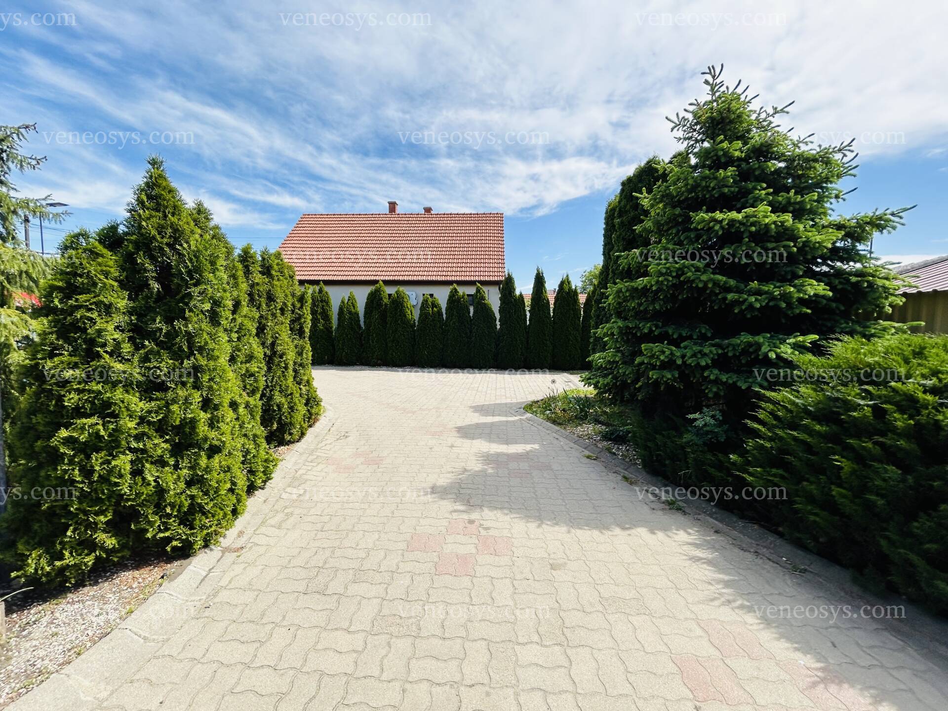Kép 15