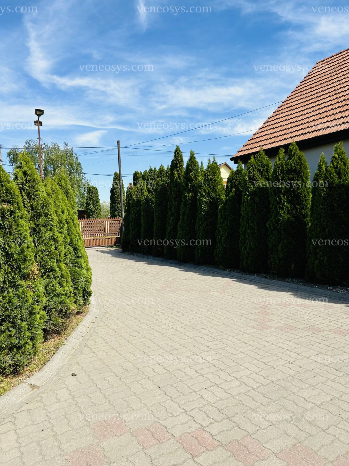 Kép 10